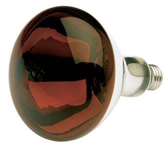 Beurer Infrared Bulb