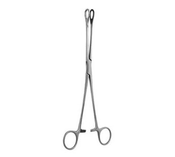 Sponge Holding Forcep 10inch